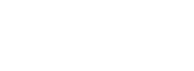 Liderseg